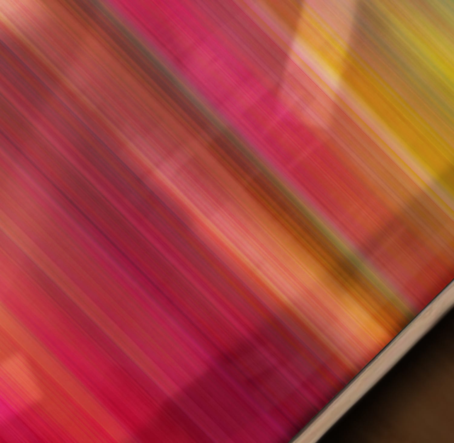 Wonderwall, I - Image 5