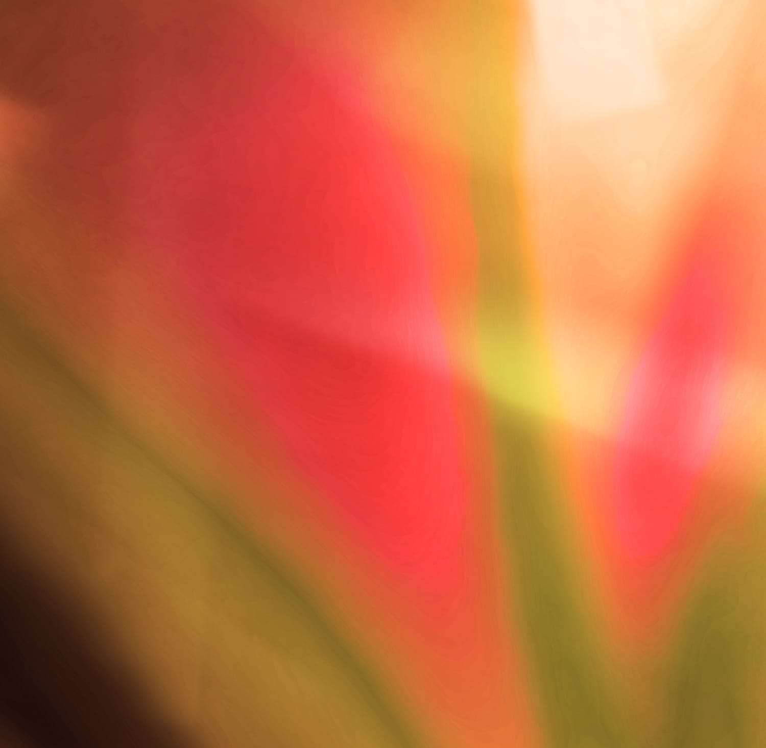 Ascension III - Image 3